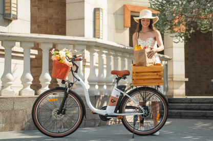 DYU C6 Pro - Bicicleta eléctrica - Tienda de ruedas