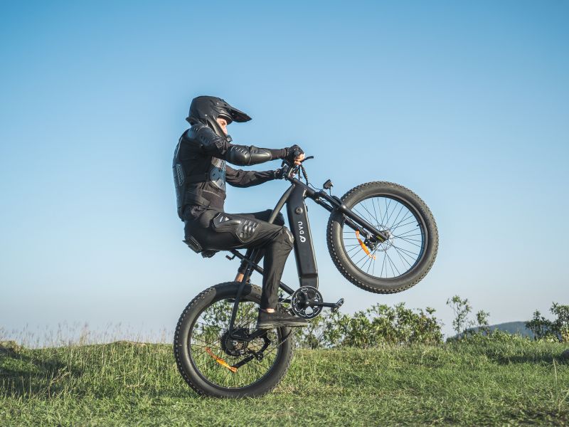 DYU Rey 750 - Bicicleta eléctrica - Tienda de ruedas