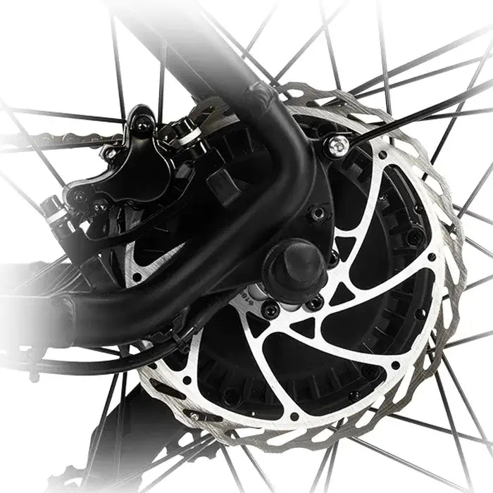 DYU Rey 750 - Bicicleta eléctrica - Tienda de ruedas