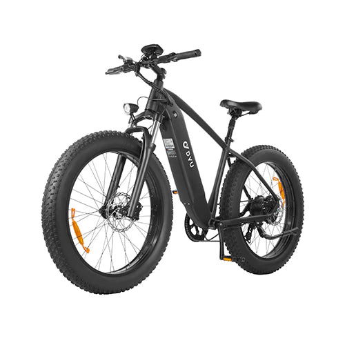 DYU Rey 750 - Bicicleta eléctrica - Tienda de ruedas
