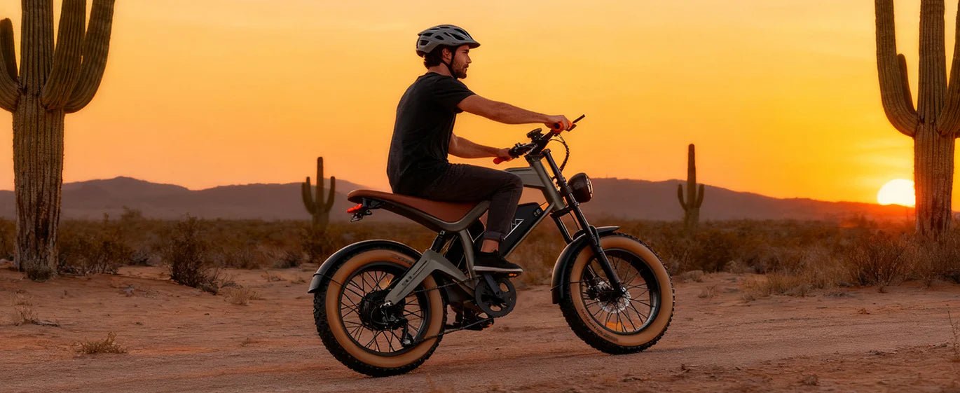 DYU M20 - Elcykel - Wheelyshop