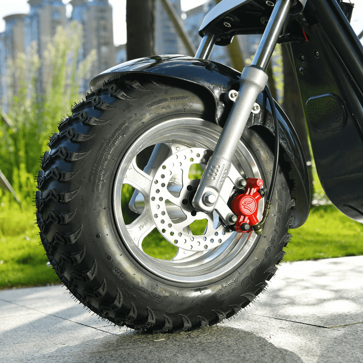 eHoodax 05WQ front wheel and fork