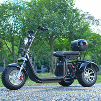 eHoodax 05WQ electric tricycle seen from the side in a park