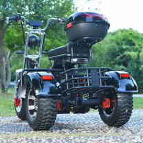 eHoodax 05WQ electric tricycle, rear three-quarter view on a gravel road