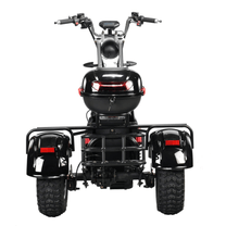 eHoodax 05WQ electric tricycle seen from behind