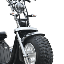 eHoodax 05WQ front wheel and fork