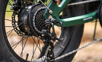 ENGWE EP-2 3.0 Boost hub motor