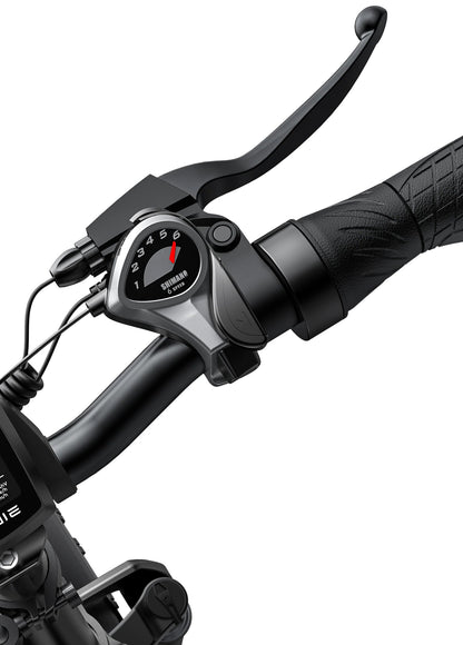ENGWE EP - 2 Pro - Electric bike - Wheelyshop
