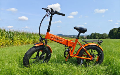 ENGWE EP - 2 Pro - Electric bike - Wheelyshop