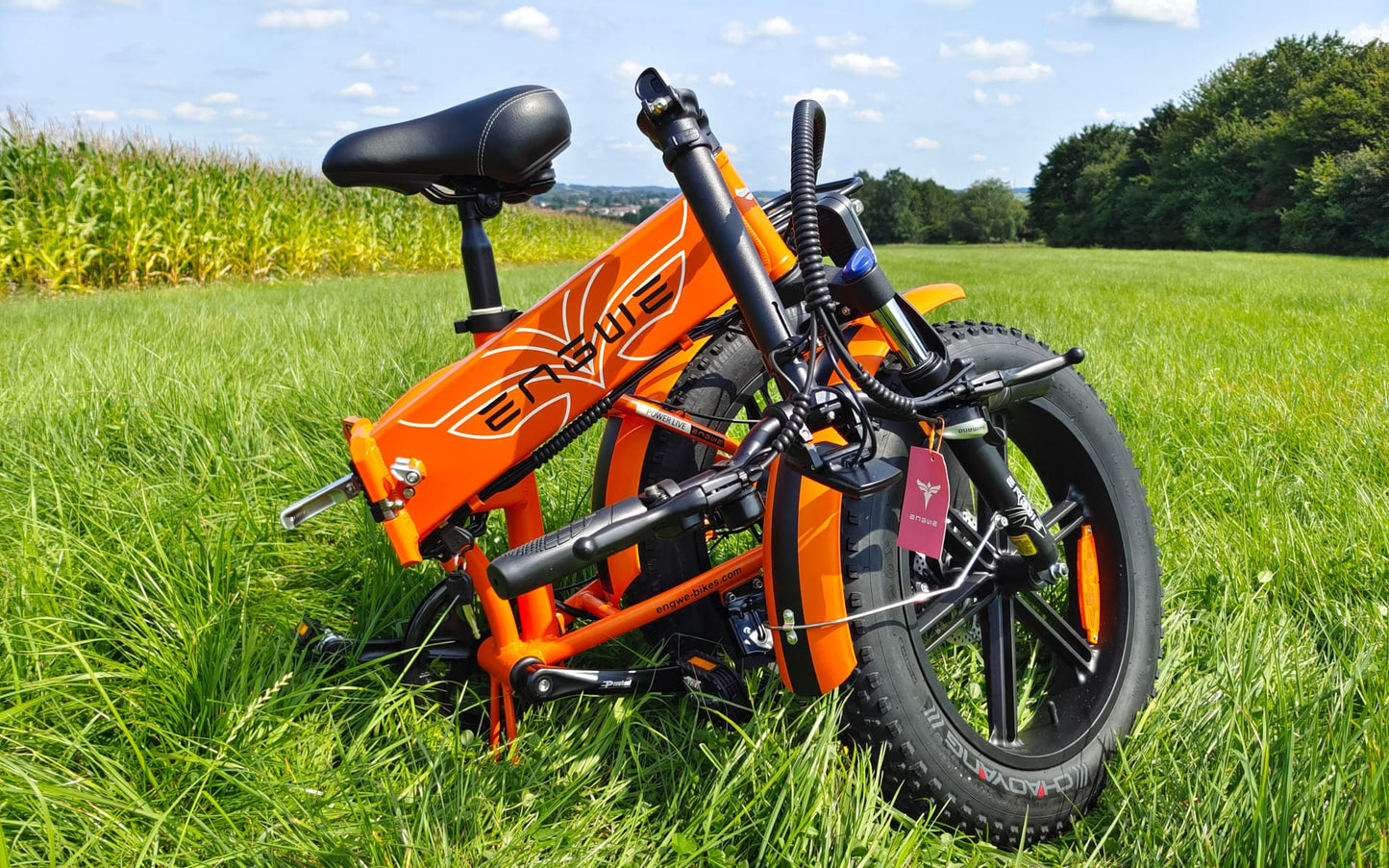 ENGWE EP - 2 Pro - Electric bike - Wheelyshop