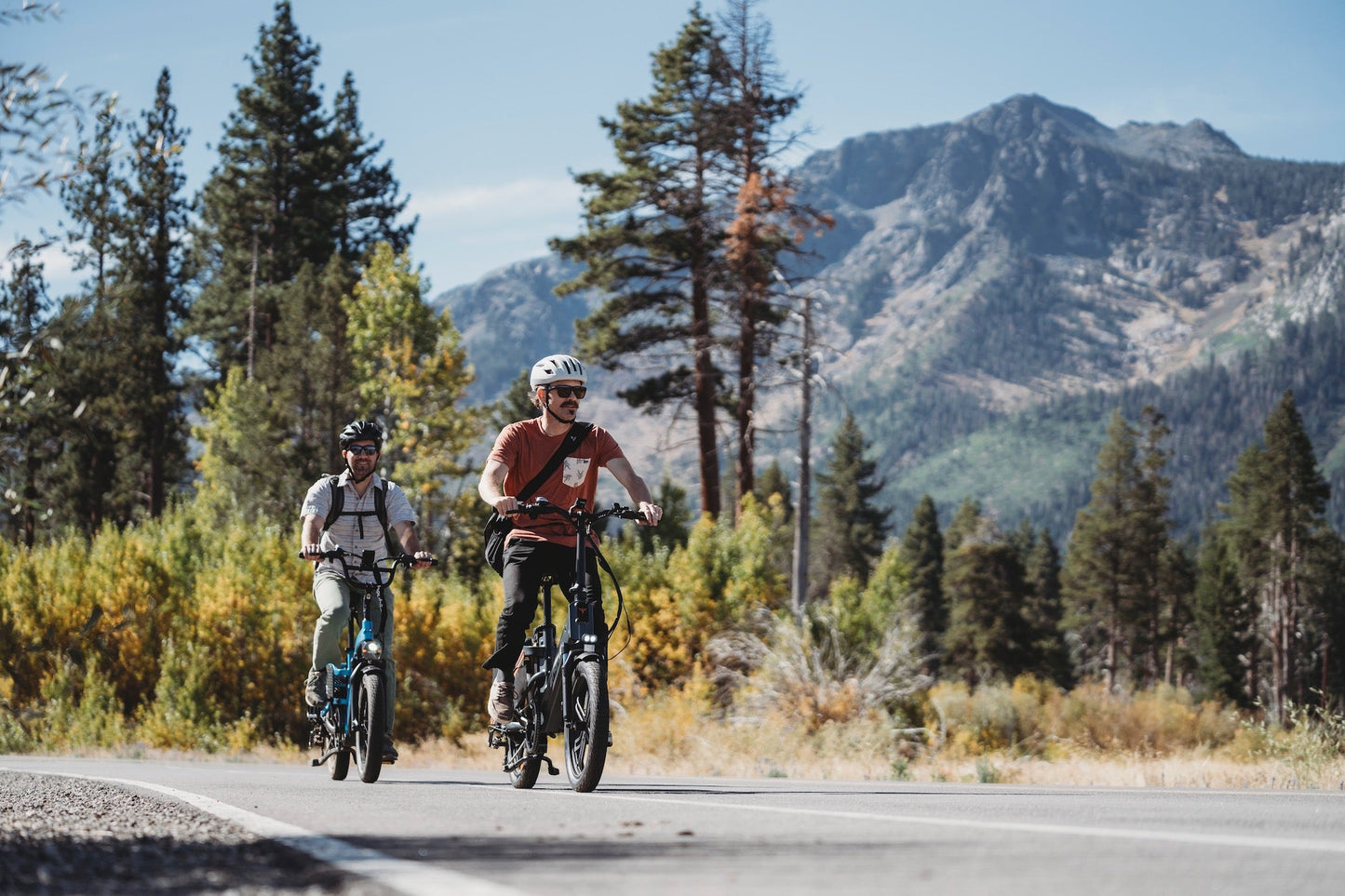 ENGWE LE20 - Elcykel - Wheelyshop