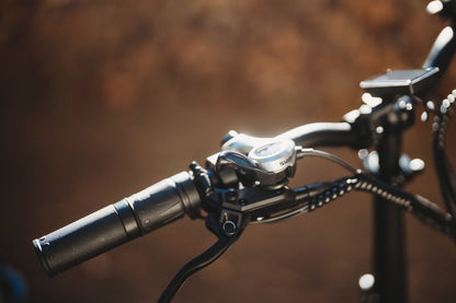 ENGWE LE20 - Elcykel - Wheelyshop