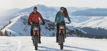 Hidoes B6 - Electric bike - Wheelyshop