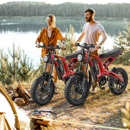 Hidoes B6 - Electric bike - Wheelyshop