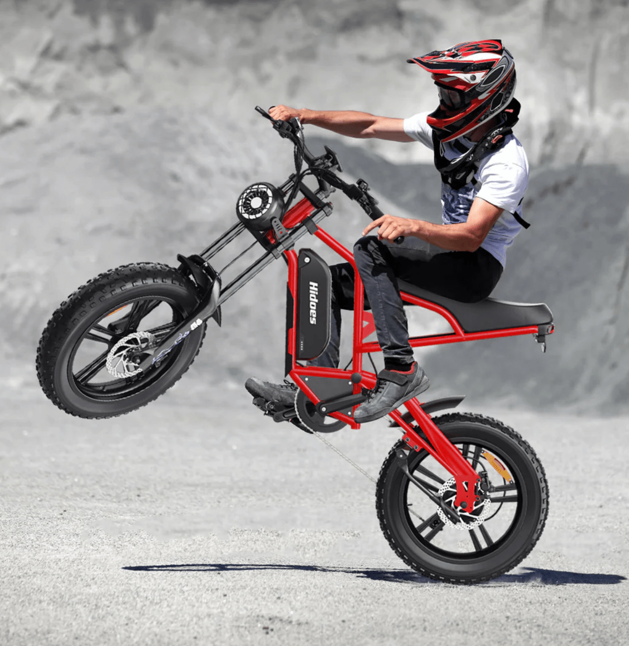 Hidoes B6 - Electric bike - Wheelyshop