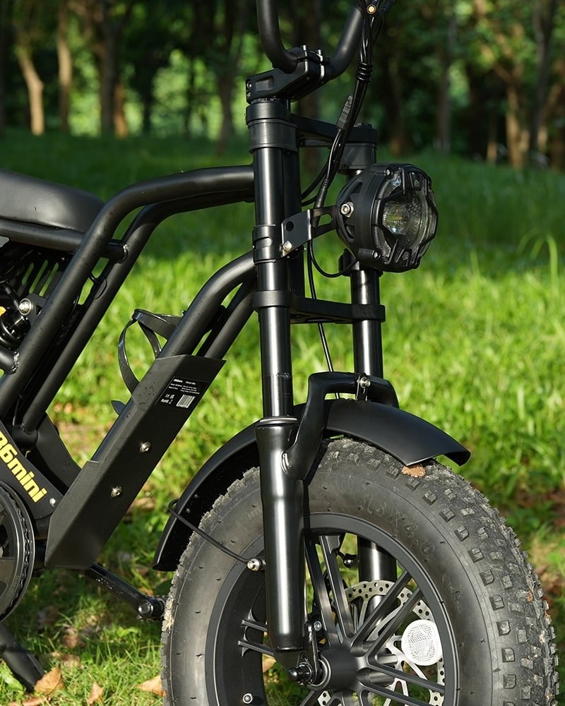 Hidoes B6 Mini front wheel and fork
