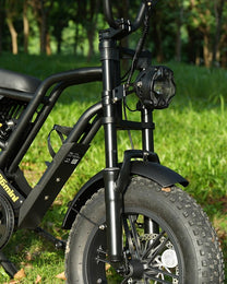 Hidoes B6 Mini front wheel and fork