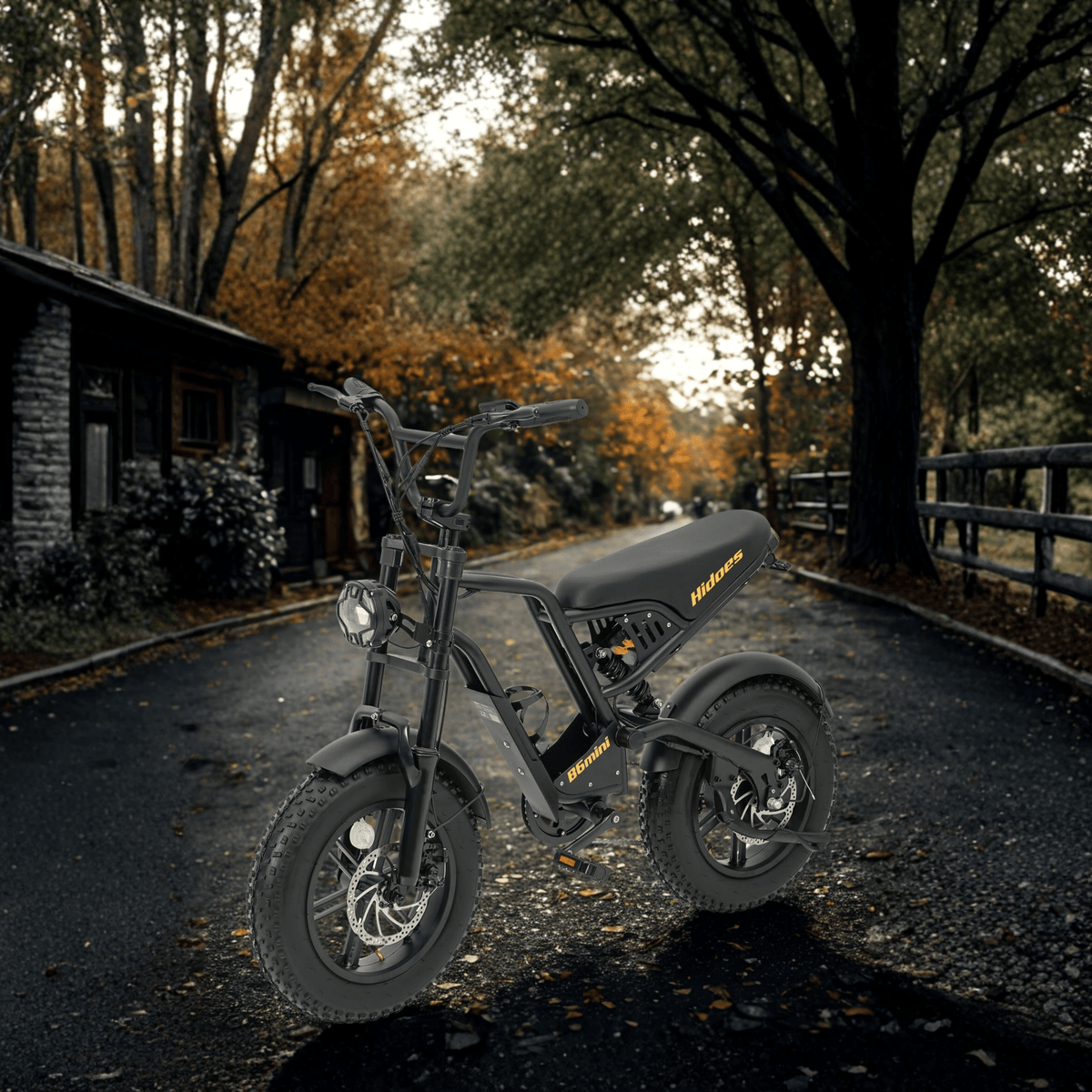 Person riding the Hidoes B6 Mini fat-tyre e-bike in the city