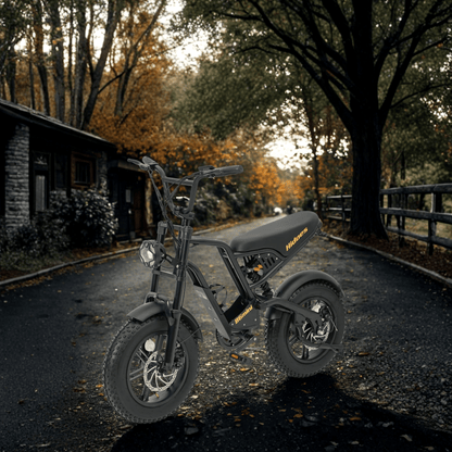 Hidoes B6 Mini - Elcykel - Wheelyshop