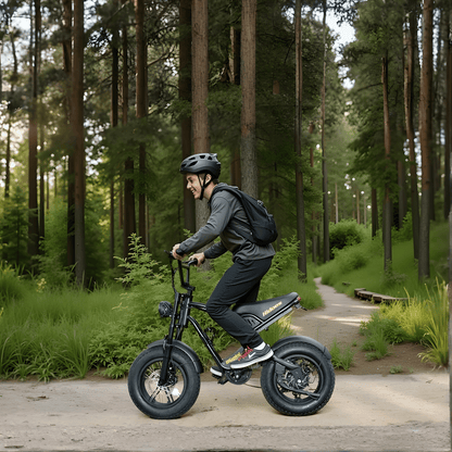 Hidoes B6 Mini - Elcykel - Wheelyshop