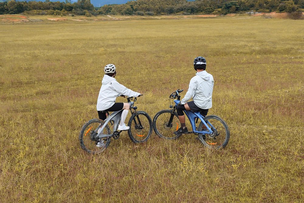 HX Q5 - Elcykel - Wheelyshop