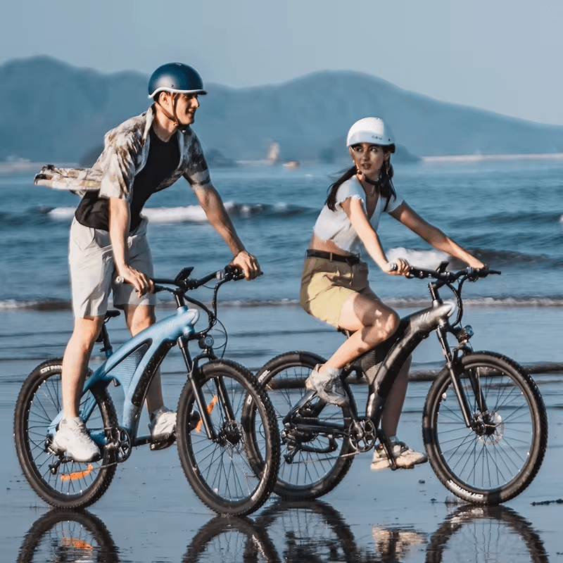 HX Q5 - Elcykel - Wheelyshop