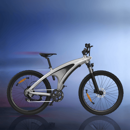 HX Q5S - Elcykel - Wheelyshop
