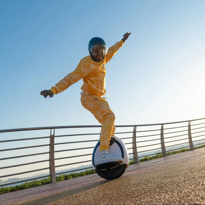 InMotion E20 - Enhjuling - Wheelyshop