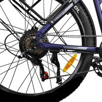 LOOKROAD L28 Max gears and chain