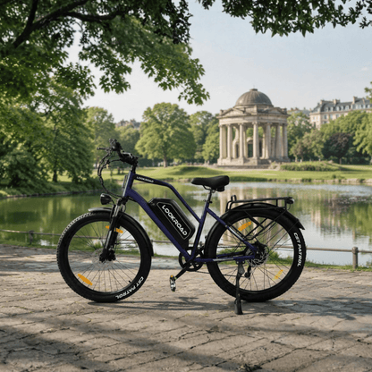 LOOKROAD L28 Max - Electric bike - Wheelyshop