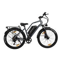 LOOKROAD L28 Max fat-tyre e-bike seen from the side in grey