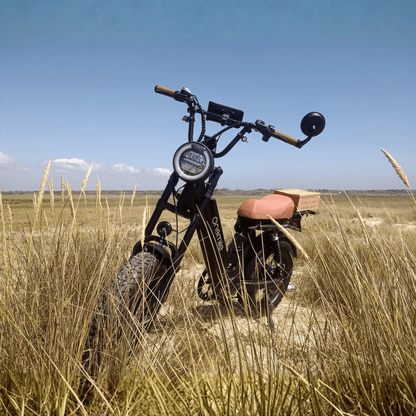 Onemile M40 PRO - Electric bike - Wheelyshop