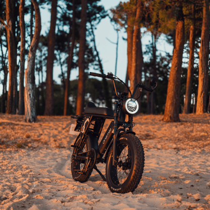 Onemile P40 Pro - Electric bike - Wheelyshop