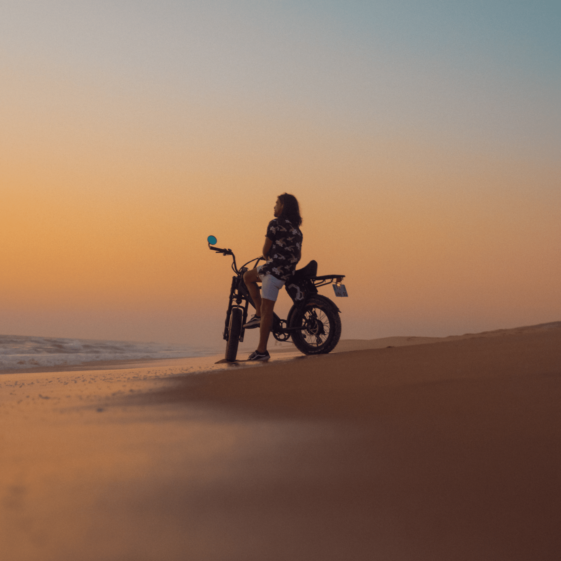 Onemile P40 Pro - Electric bike - Wheelyshop