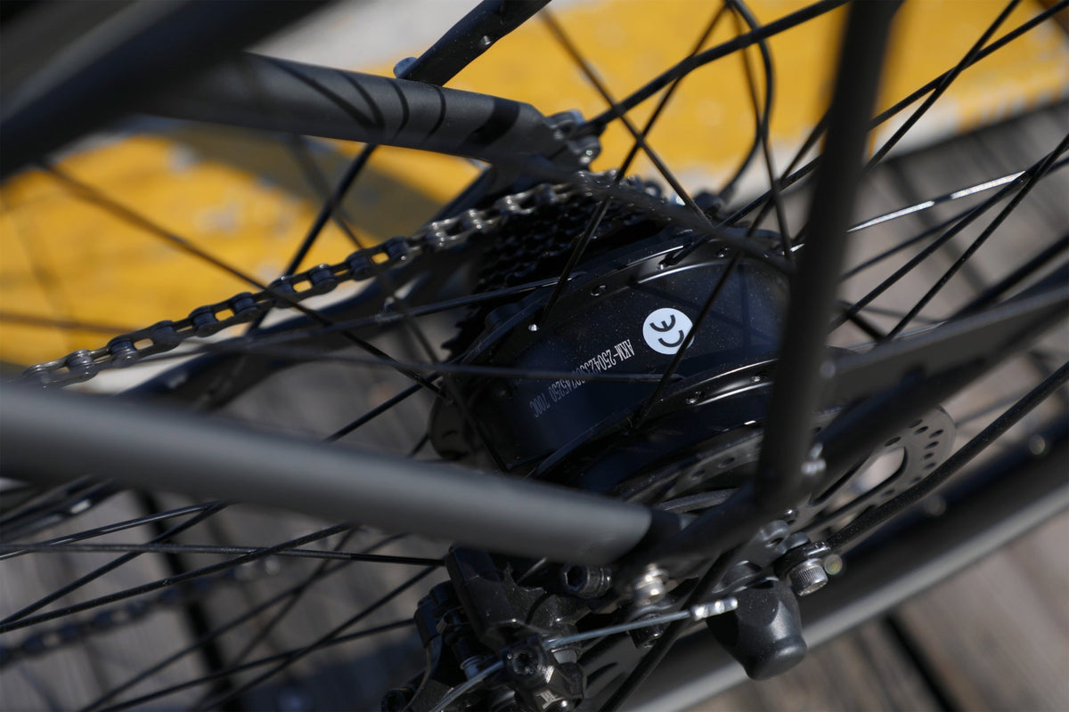 OneSport OT12 hub motor in black in the sunshine