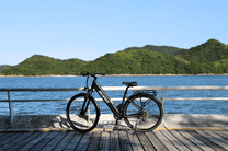 OneSport OT12 e-bike seen from the side in black by the sea