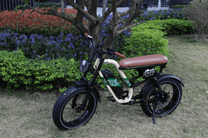 OneSport W66 fat-tyre e-bike, front three-quarter view parked on a grassy field