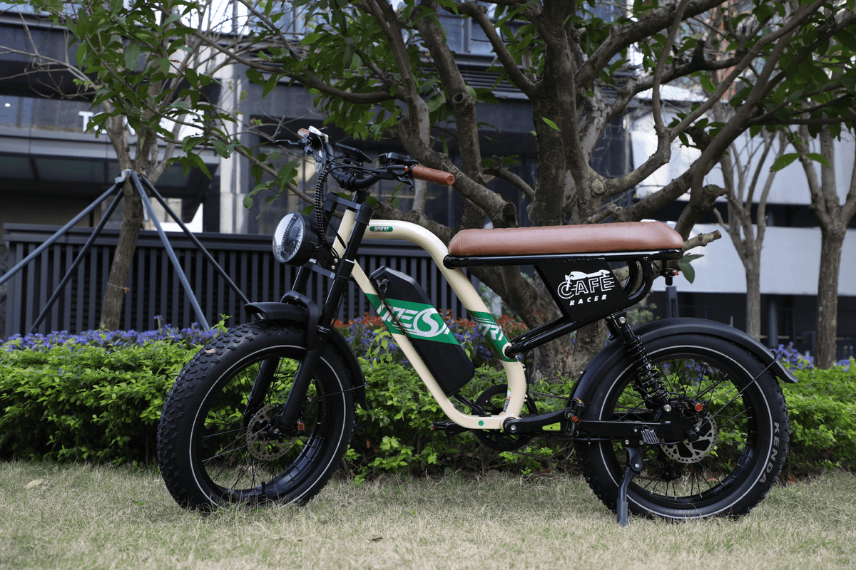 OneSport W66 fat-tyre e-bike seen from the side parked in a park