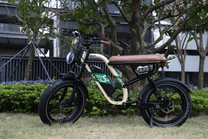 OneSport W66 fat-tyre e-bike seen from the side parked in a park