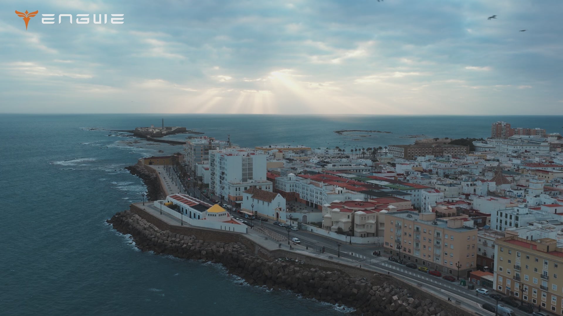 INTRODUCING Y700. The Best Entry-Level Off-Road Scooter