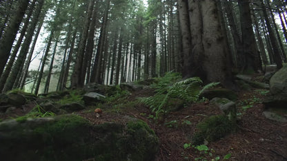 InMotion V14 Enhjuling reklamvideo