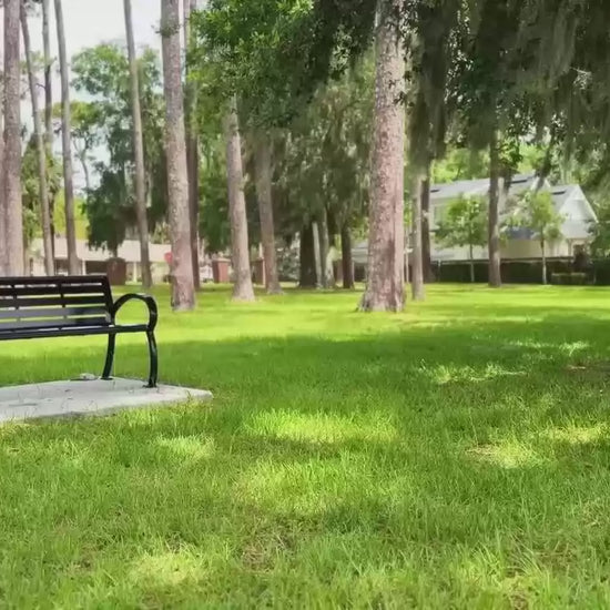 DYU CampX – video