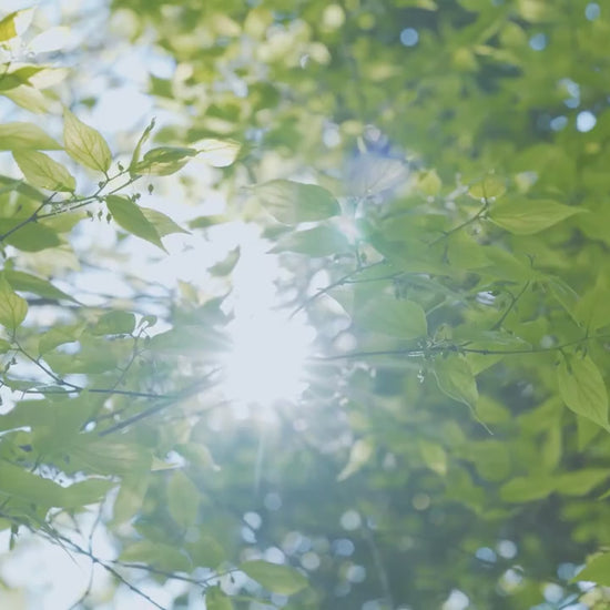 iScooter i9 Elsparkcykel reklamvideo - Wheelyshop