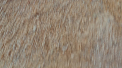 iScooter iX7 Pro - Elsparkcykel - Reklamvideo