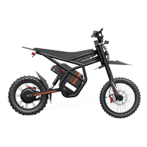 Ridingtimes GT54 Pro electric dirt bike, rear three-quarter view against a white background