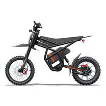 Ridingtimes GT54 Pro electric dirt bike seen from the side from the left