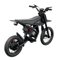 Ridingtimes GT54 Pro electric dirt bike seen from the side