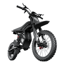 Ridingtimes GT54 Pro electric dirt bike, front three-quarter view from the left