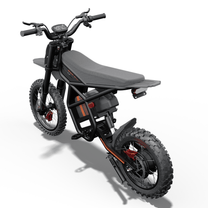 Ridingtimes GT54 Pro electric dirt bike seen from the side from the right