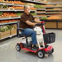 Older man sitting in the SEEDREAM S-02 mobility scooter with a dog